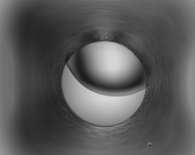 X0000088660039200705251011