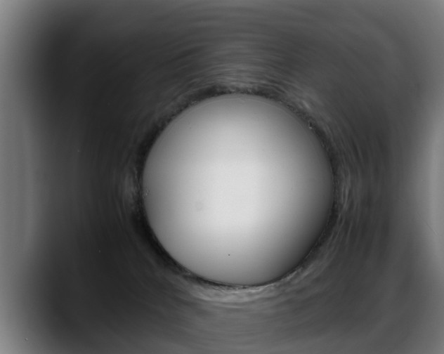 X0000088660040200705251011