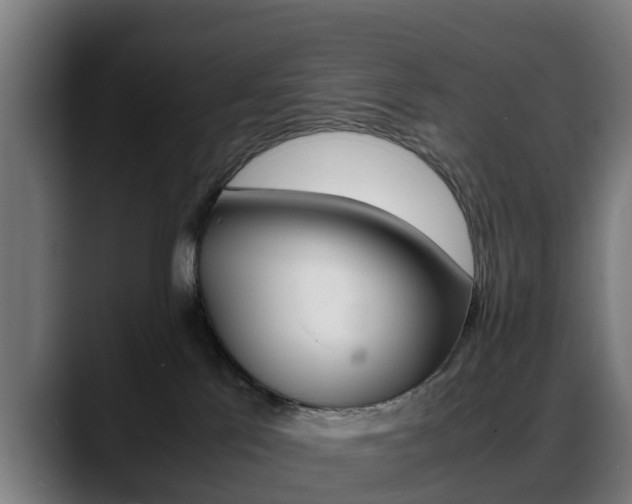 X0000088660041200705251011