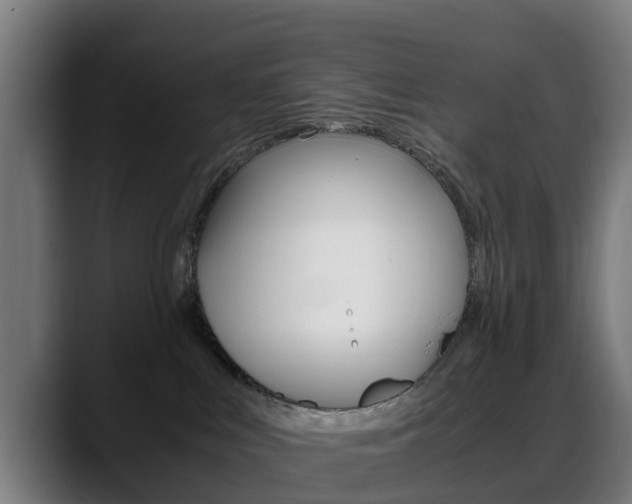 X0000088660043200705251011