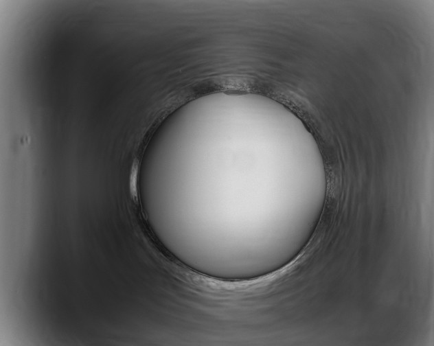 X0000088660047200705251011