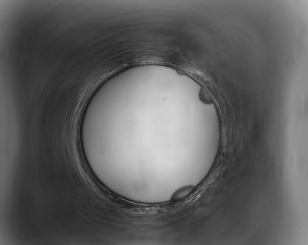 X0000088660049200705251010