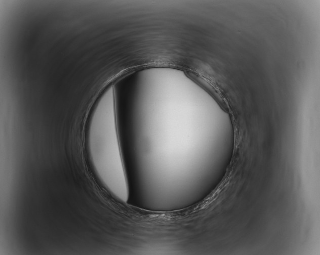 X0000088660050200705251010