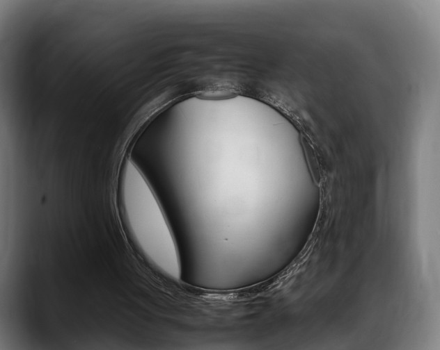 X0000088660051200705251010