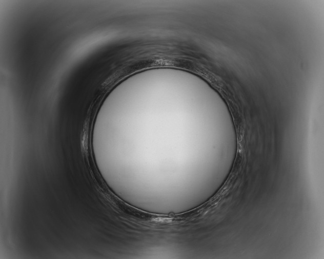 X0000088660052200705251010