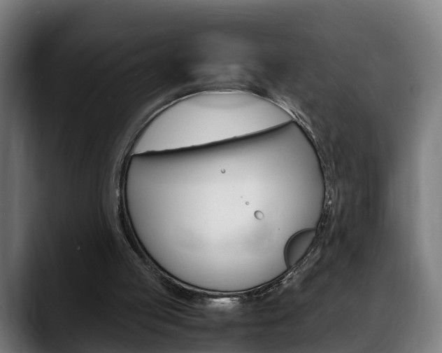 X0000088660053200705251010