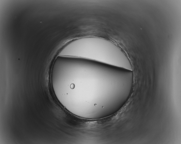 X0000088660054200705251010