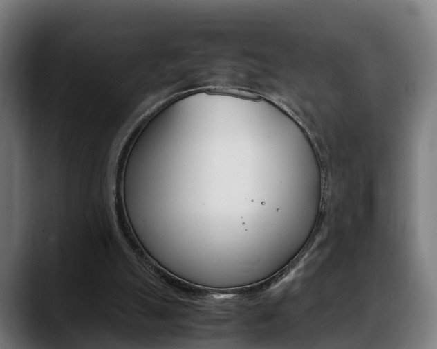 X0000088660055200705251010