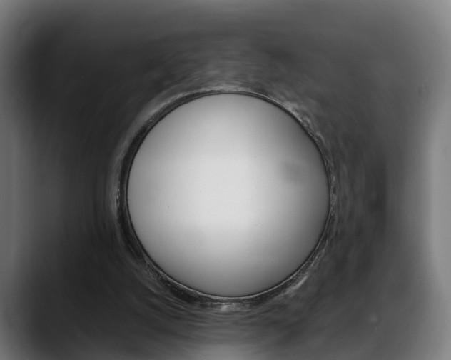 X0000088660056200705251010