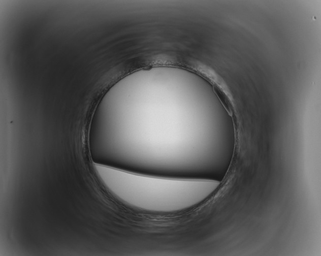 X0000088660057200705251010