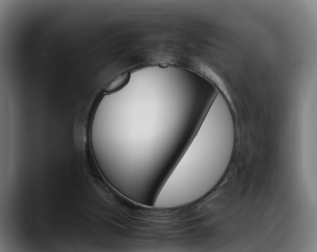 X0000088660059200705251010