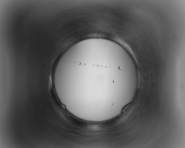 X0000088660061200705251010