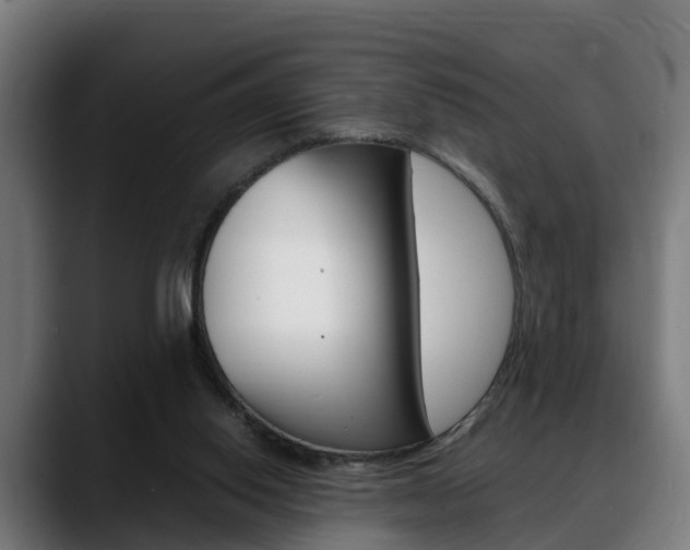 X0000088660062200705251010