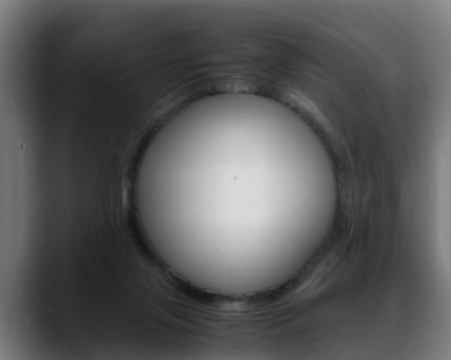 X0000088660071200705251010