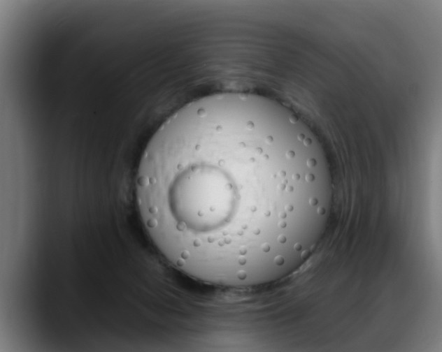 X0000088660078200705251010