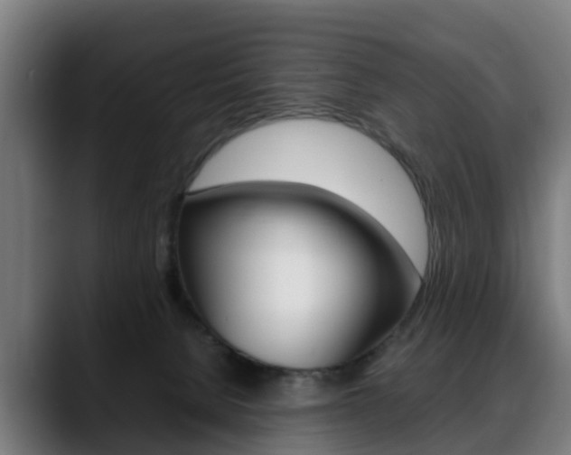 X0000088660080200705251011