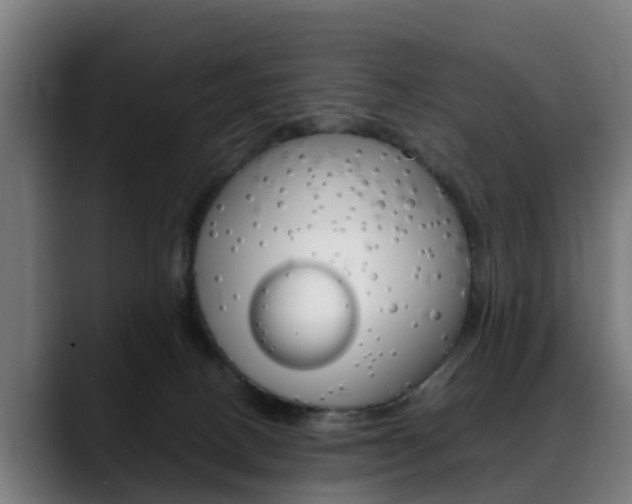 X0000088660082200705251011