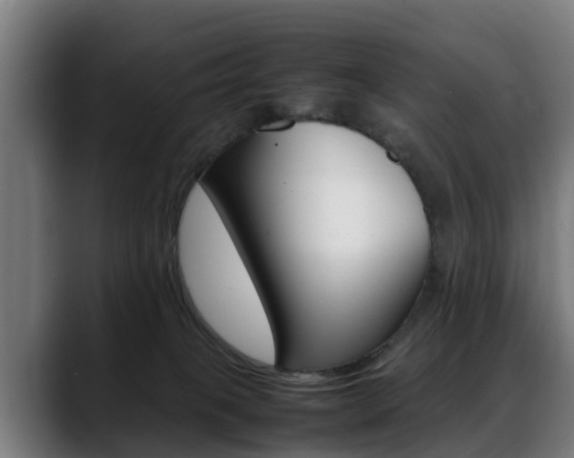 X0000088660085200705251011