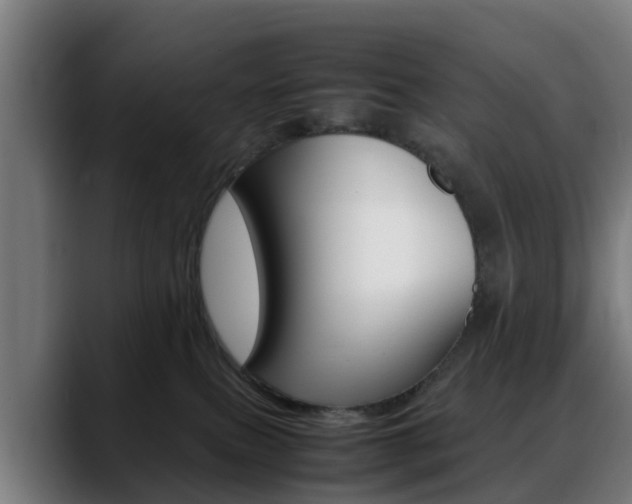 X0000088660087200705251011