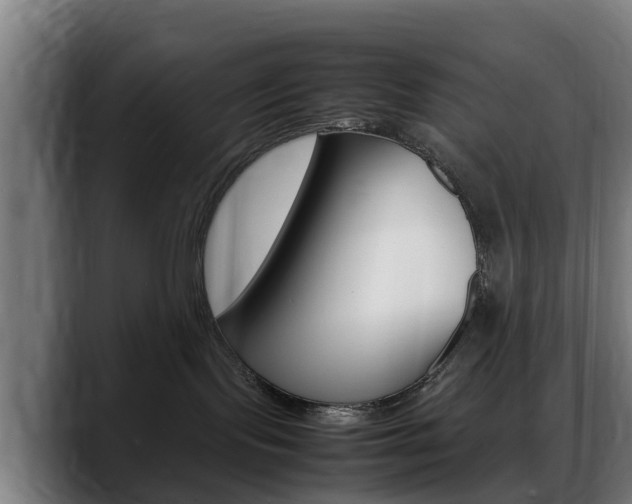 X0000088660095200705251011