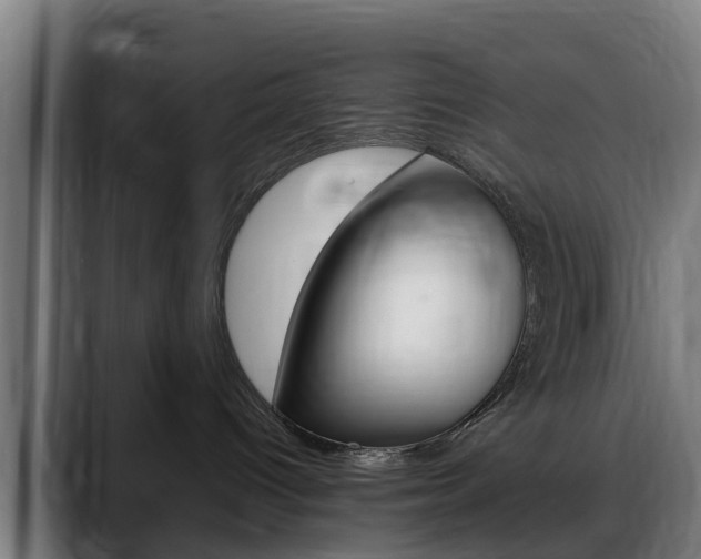 X0000088660096200705251011