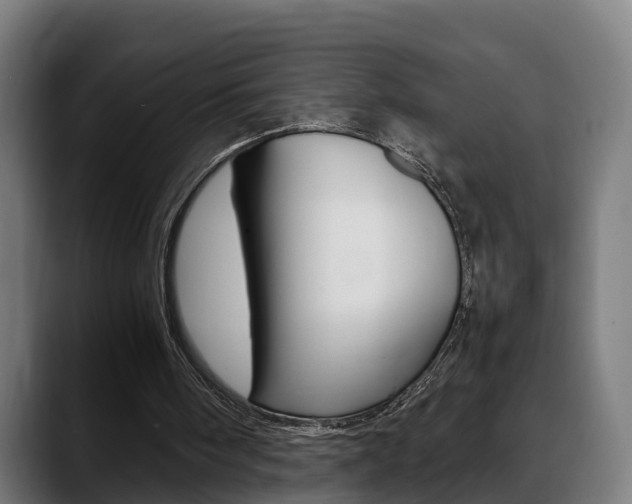 X0000088660098200705251010