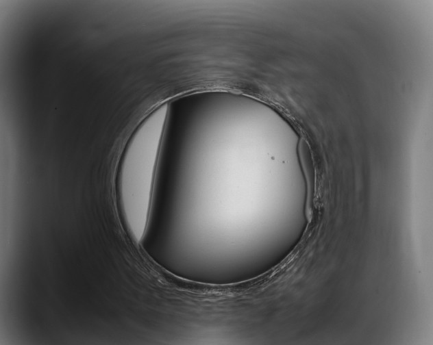 X0000088660099200705251010