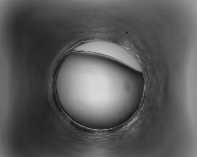 X0000088660101200705251010