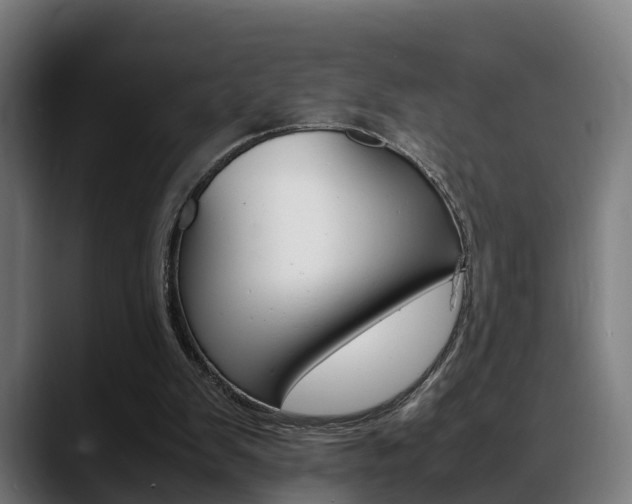 X0000088660103200705251010