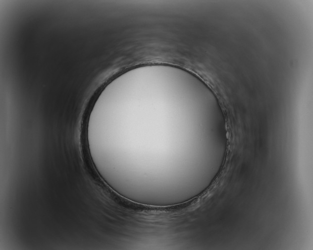 X0000088660104200705251010