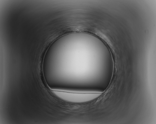 X0000088660105200705251010