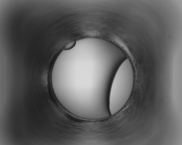 X0000088660106200705251010