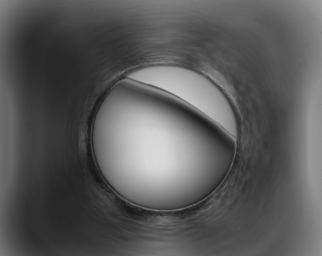 X0000088660107200705251010