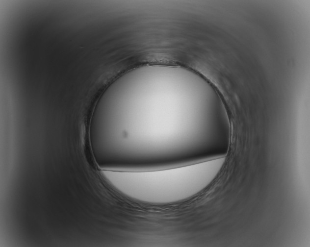 X0000088660109200705251010