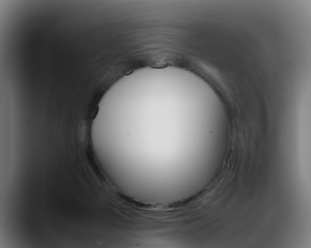 X0000088660121200705251010