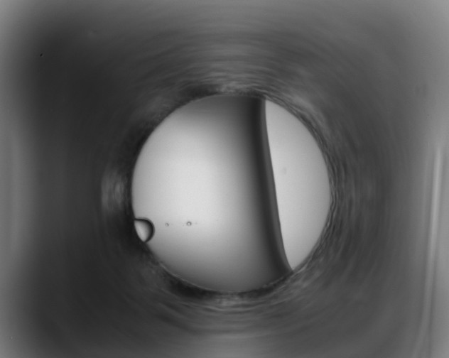 X0000088660123200705251010