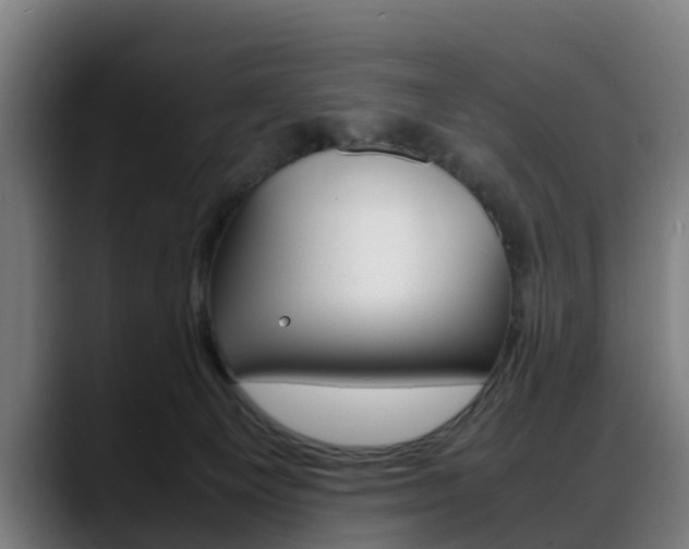 X0000088660129200705251010