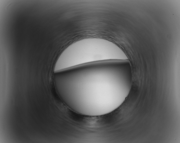 X0000088660131200705251010