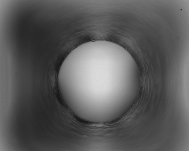 X0000088660133200705251010