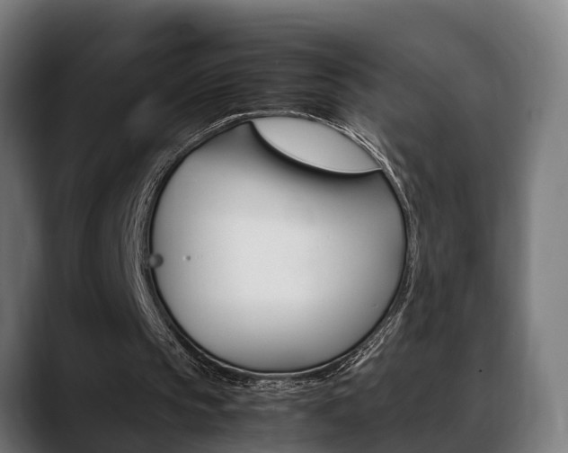 X0000088660145200705251009