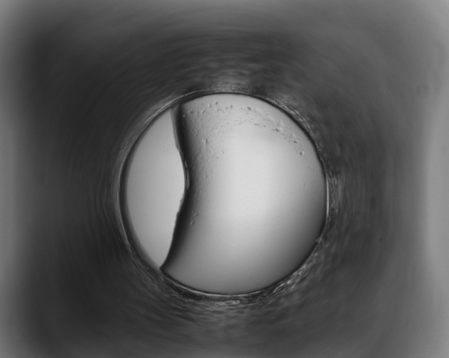 X0000088660147200705251009