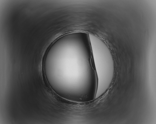 X0000088660148200705251009