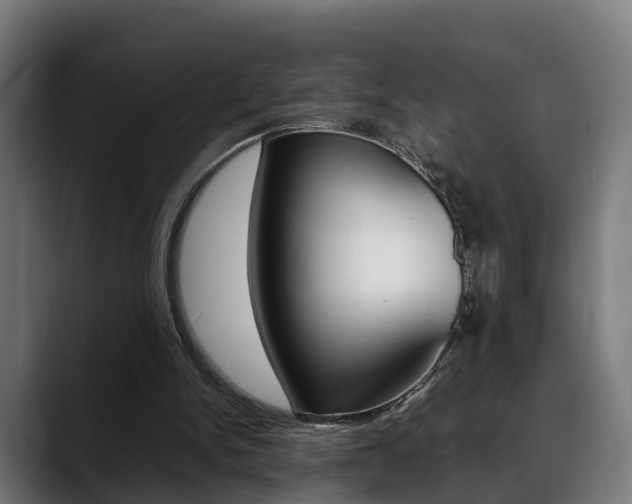 X0000088660150200705251009