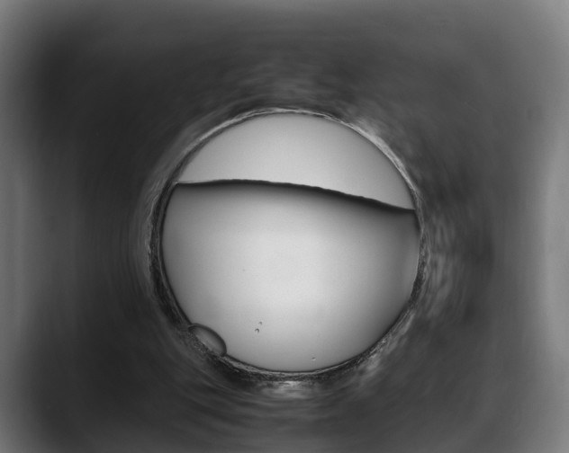 X0000088660151200705251009