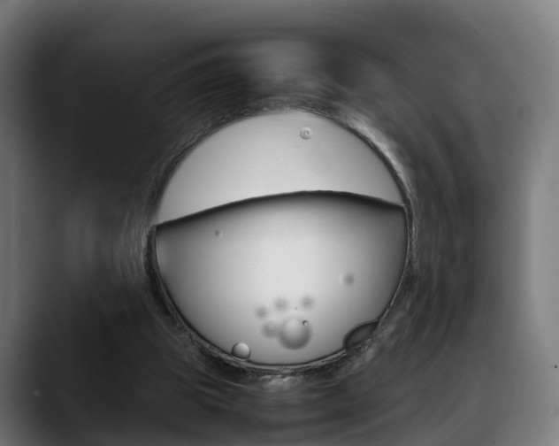 X0000088660153200705251009