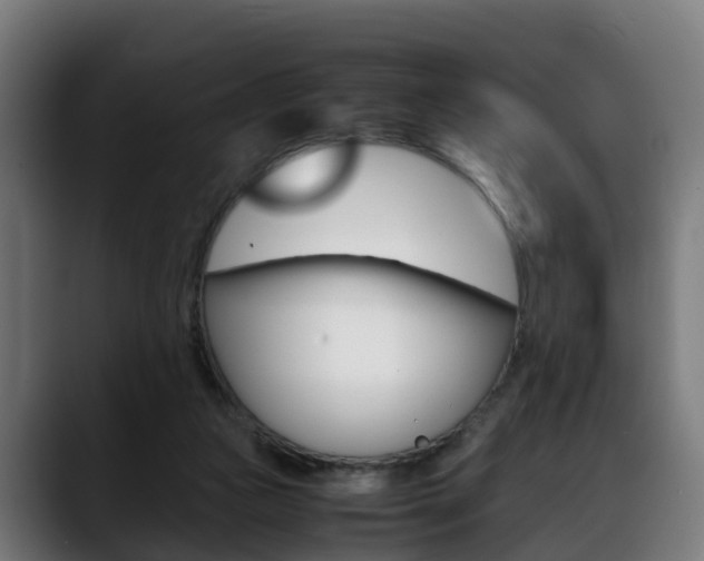 X0000088660161200705251009