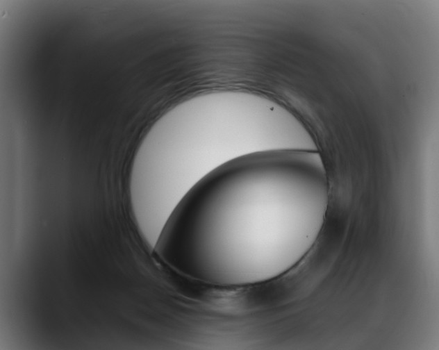 X0000088660170200705251009