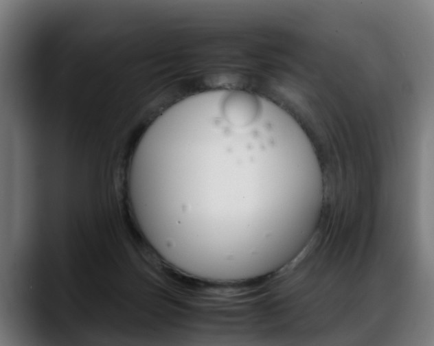X0000088660171200705251009