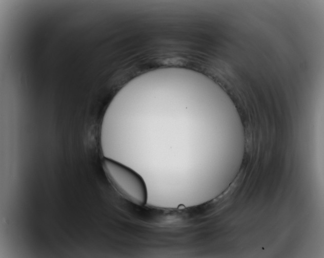 X0000088660175200705251009