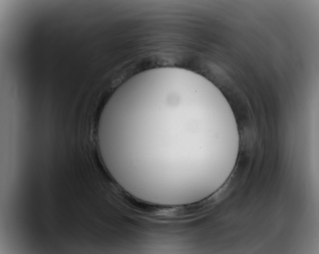 X0000088660178200705251009